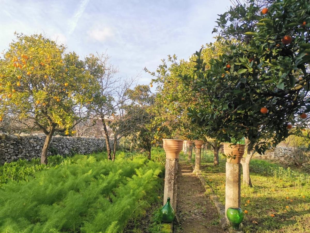 Dimora Margherita In Salento Struda エクステリア 写真